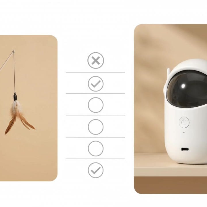 Wand toy versus automatic laser cat toy comparison