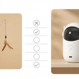 Wand toy versus automatic laser cat toy comparison