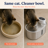 Dirty plastic pet bowl versus a clean stainless fountain