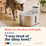Pet parent switching from a dirty bowl to a steel fountain